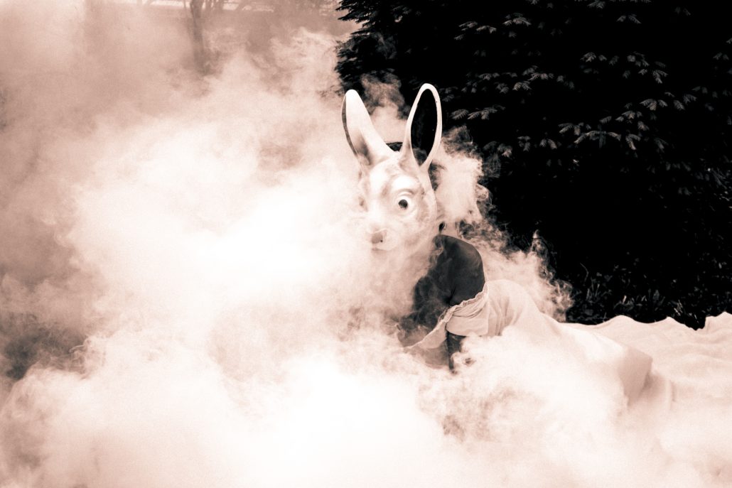 Le retour du lapin blanc