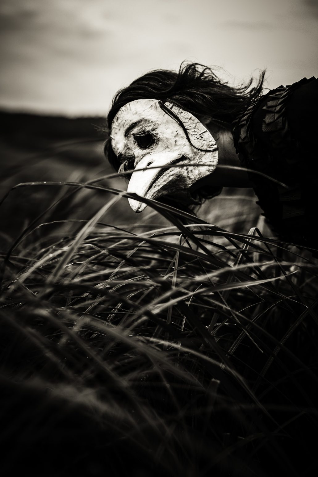 vol au dessus d’un nid de coucou