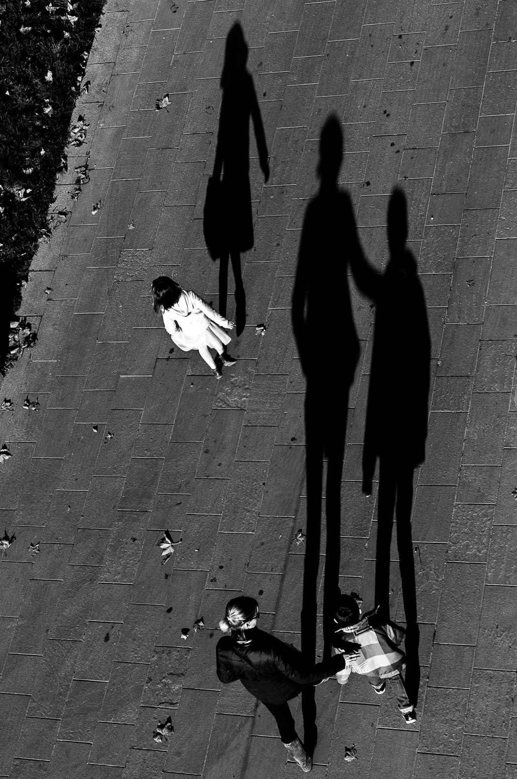 Shadow me