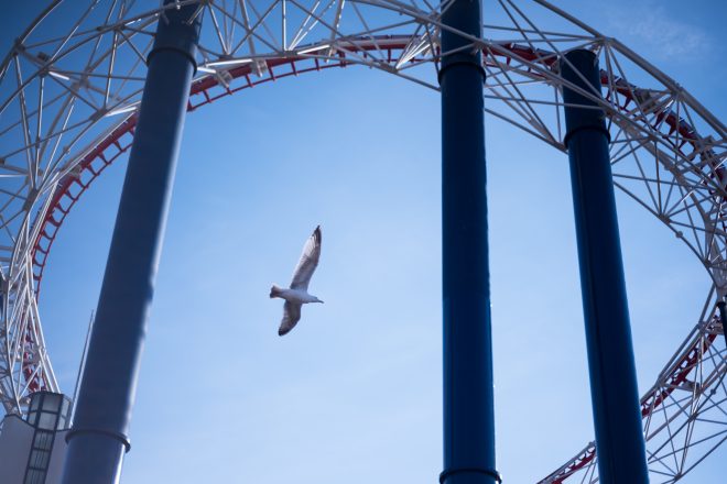 Blackpool's feathers