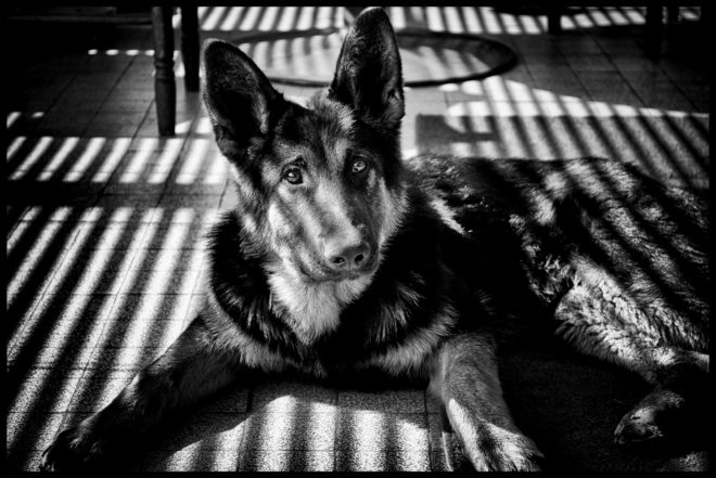 Oh tu es là enfin..