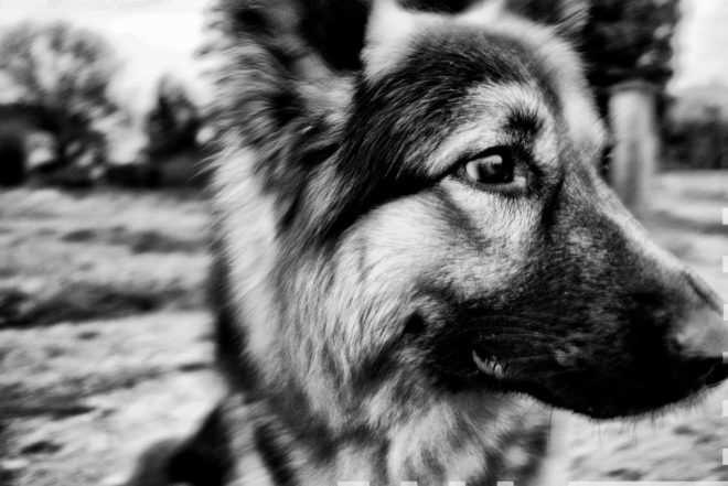 Je vais aller par là dès qu'il me laisse aller