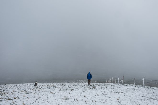 L'homme en bleu et son chien