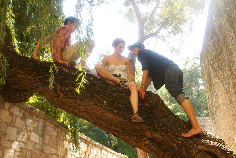 Sur un arbre perchés
