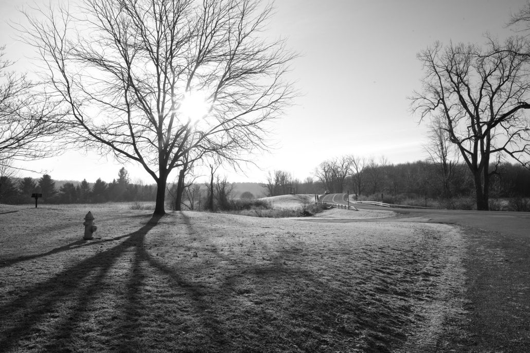 Mendon Ponds, Jan. 17, 2017.