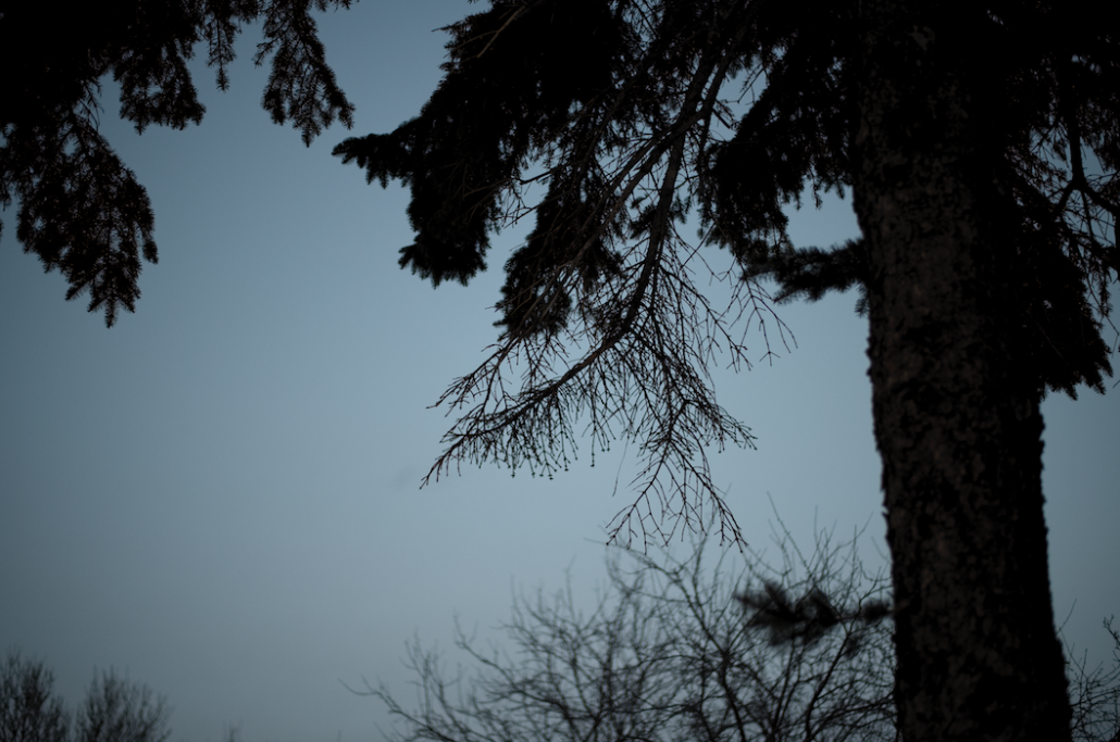 La délicatesse du ciel