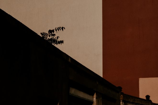 Sous le soleil du sud exactement