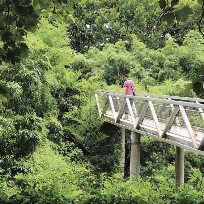 Welcome to the jungle