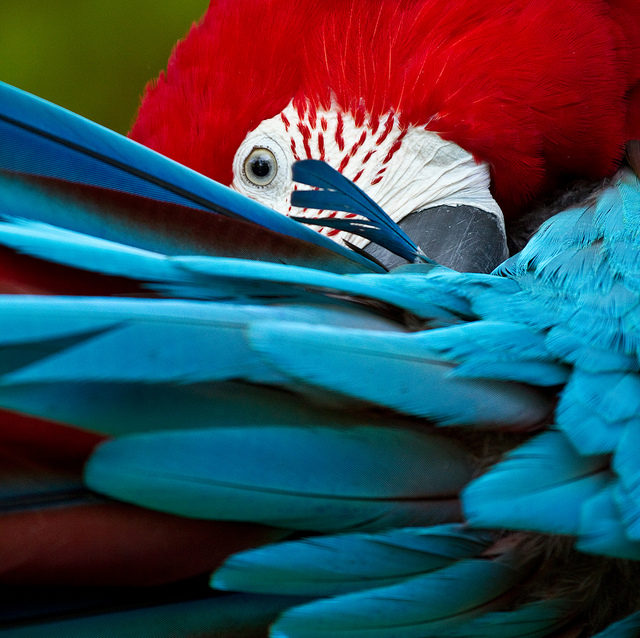Arrête je vais rougir…
