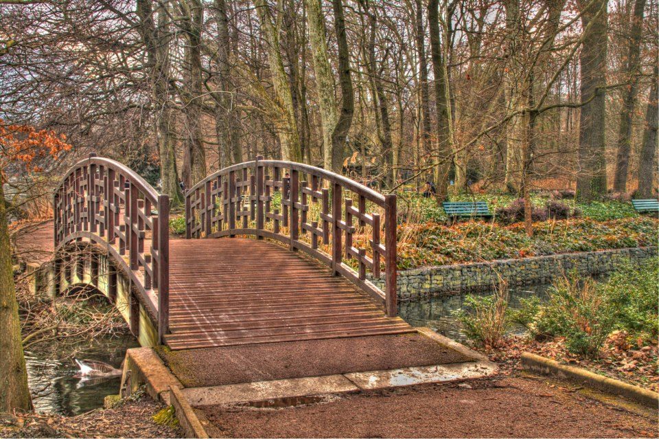 le petit pont de bois