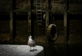 Dans les coulisses du port