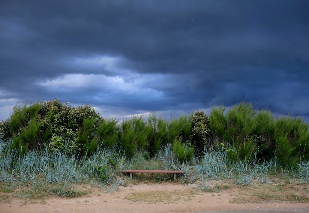 Sur un banc passeur de pensées oniriques ….