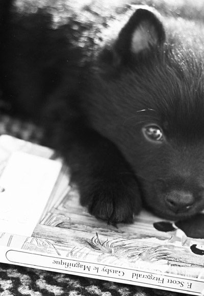 Little Gatsby meet Great Gatsby