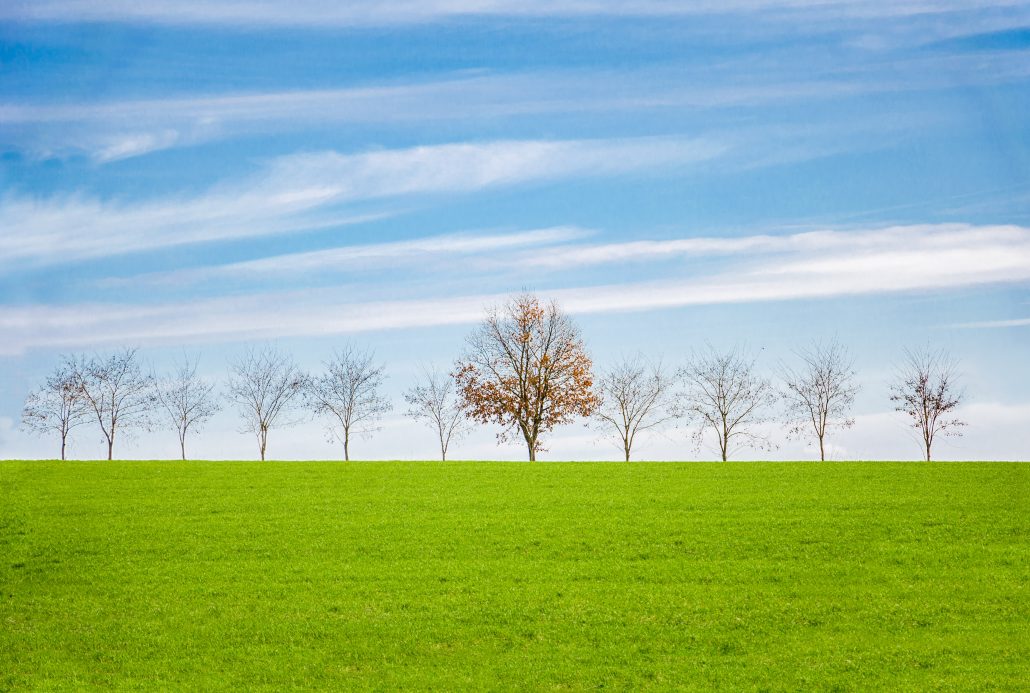 L’art de se différencier