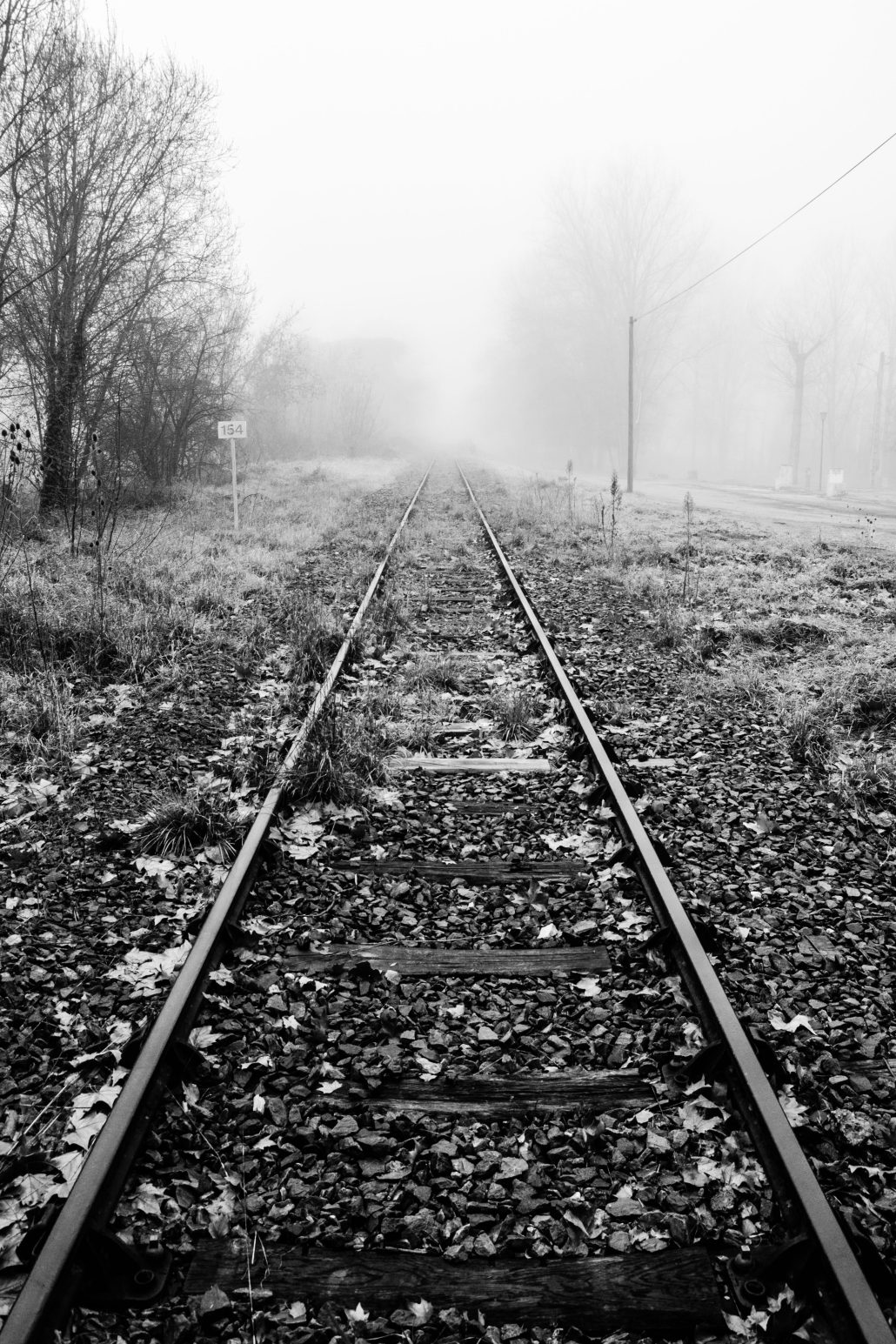 Le chemin se construit en marchant #6