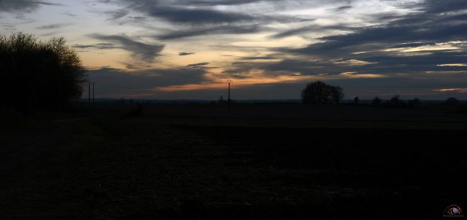 Paysage d'automne électrique