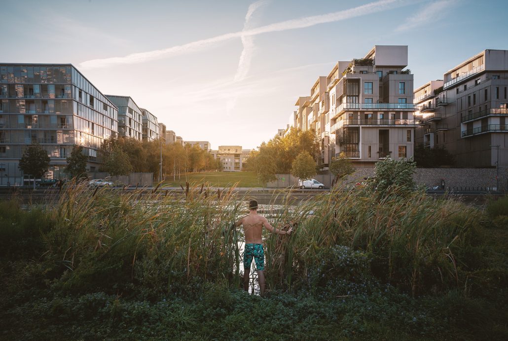 Welcome to the jungle