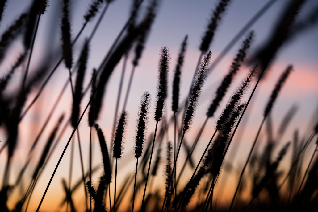 La fin de l’été