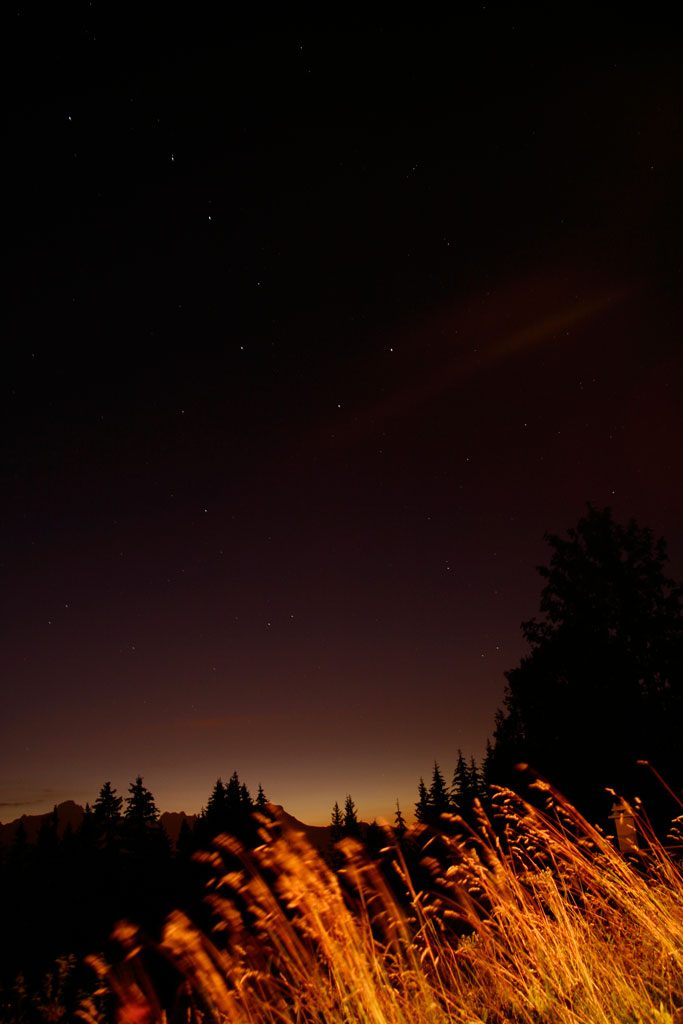 Il plie mais ne rompt pas