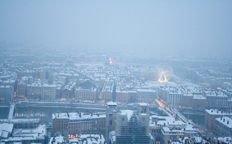 Lyon enneigé
