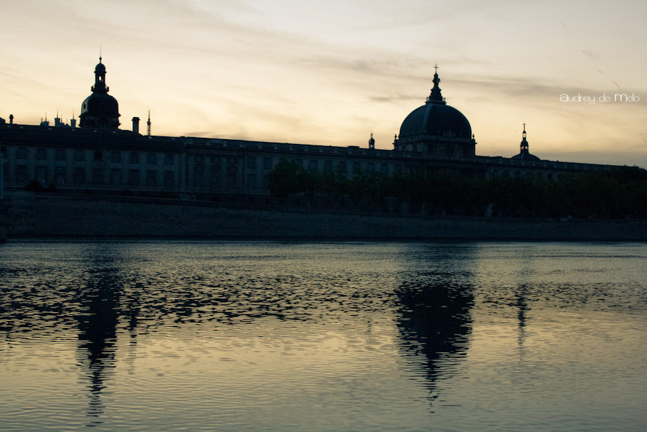 Vue des berges du Rhône