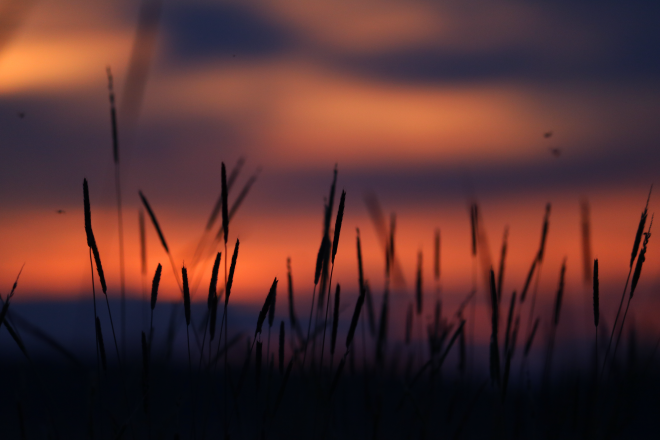 Missing summer night