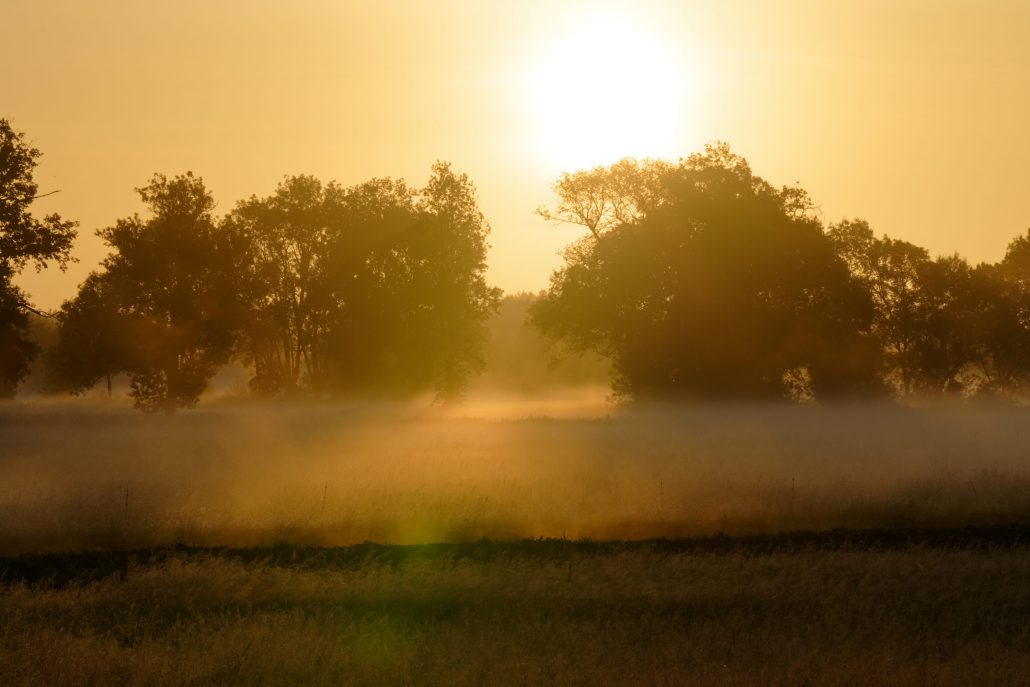 La ricorée du matin, Angers mai 2020
