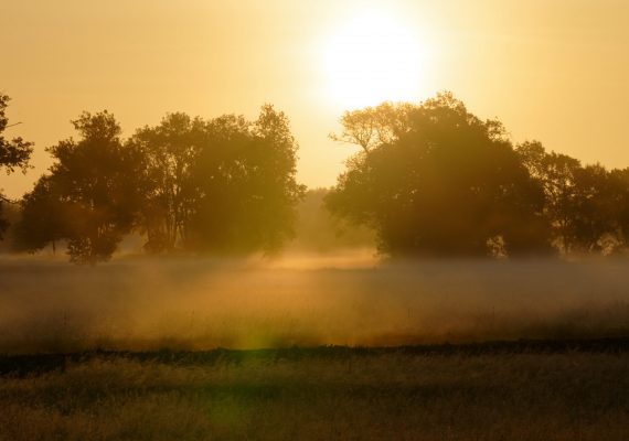 La ricorée du matin, Angers mai 2020