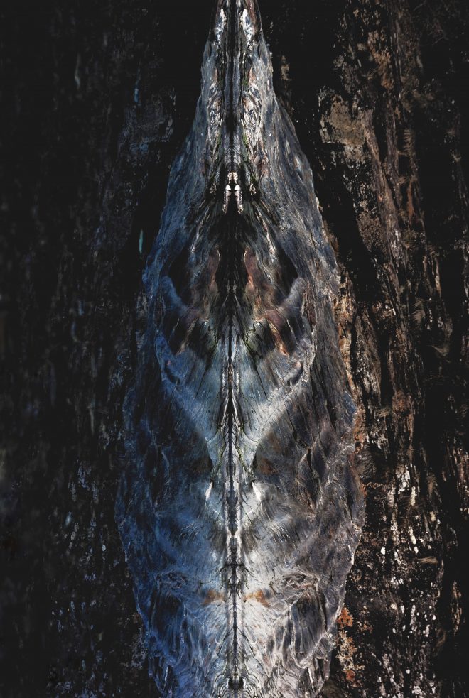 Réflec(X)ion schisteuse