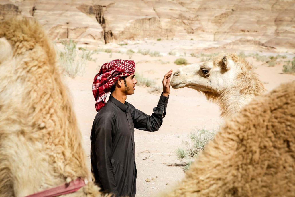 Bedouin and his dromedary