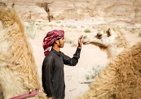 Bedouin and his dromedary