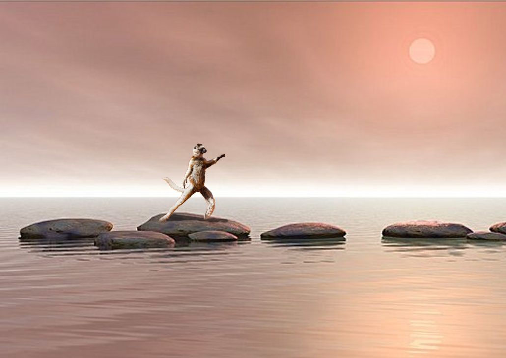 Photo montage personnel photoshop exprimant la recherche