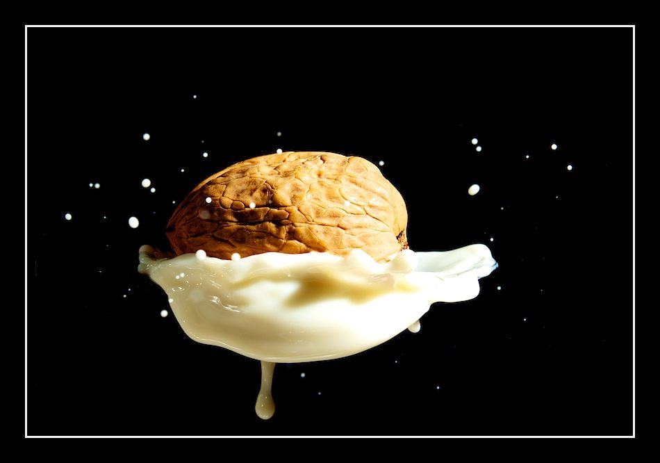 WEC / Keep Nuts Balanced