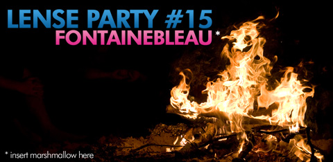 lense-party-17_fontainebleau_moyenne